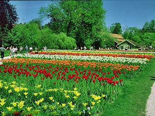 „Die Landesgartenschau ist eine tolle Chance für die Stadt Crailsheim“